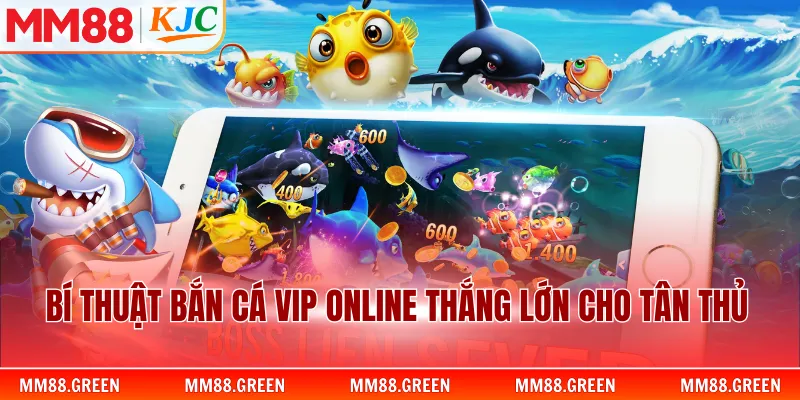 Bí thuật bắn cá vip online thắng lớn cho tân thủ