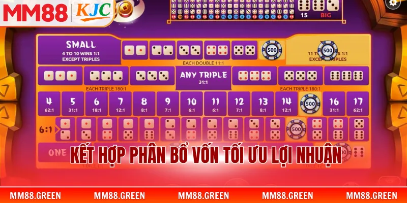 Kết hợp phân bổ vốn tối ưu lợi nhuận