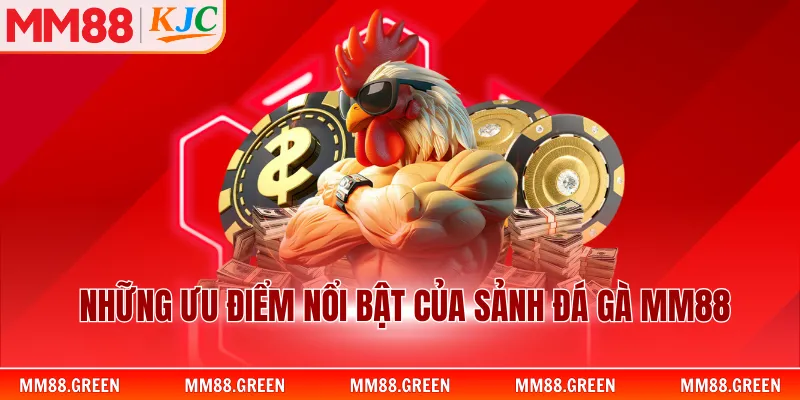 Những điểm mạnh nổi bật của sảnh đá gà MM88