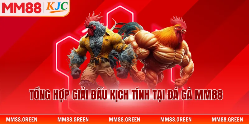Tổng hợp giải đấu kịch tính tại đá gà MM88